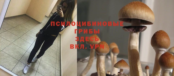бутират Нефтекумск