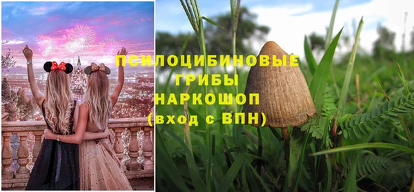 spice Надым