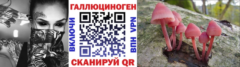 Галлюциногенные грибы мухоморы  Купить закладки  Судогда 